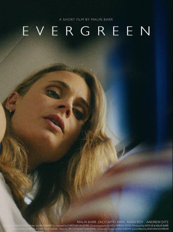 Poster di Evergreen