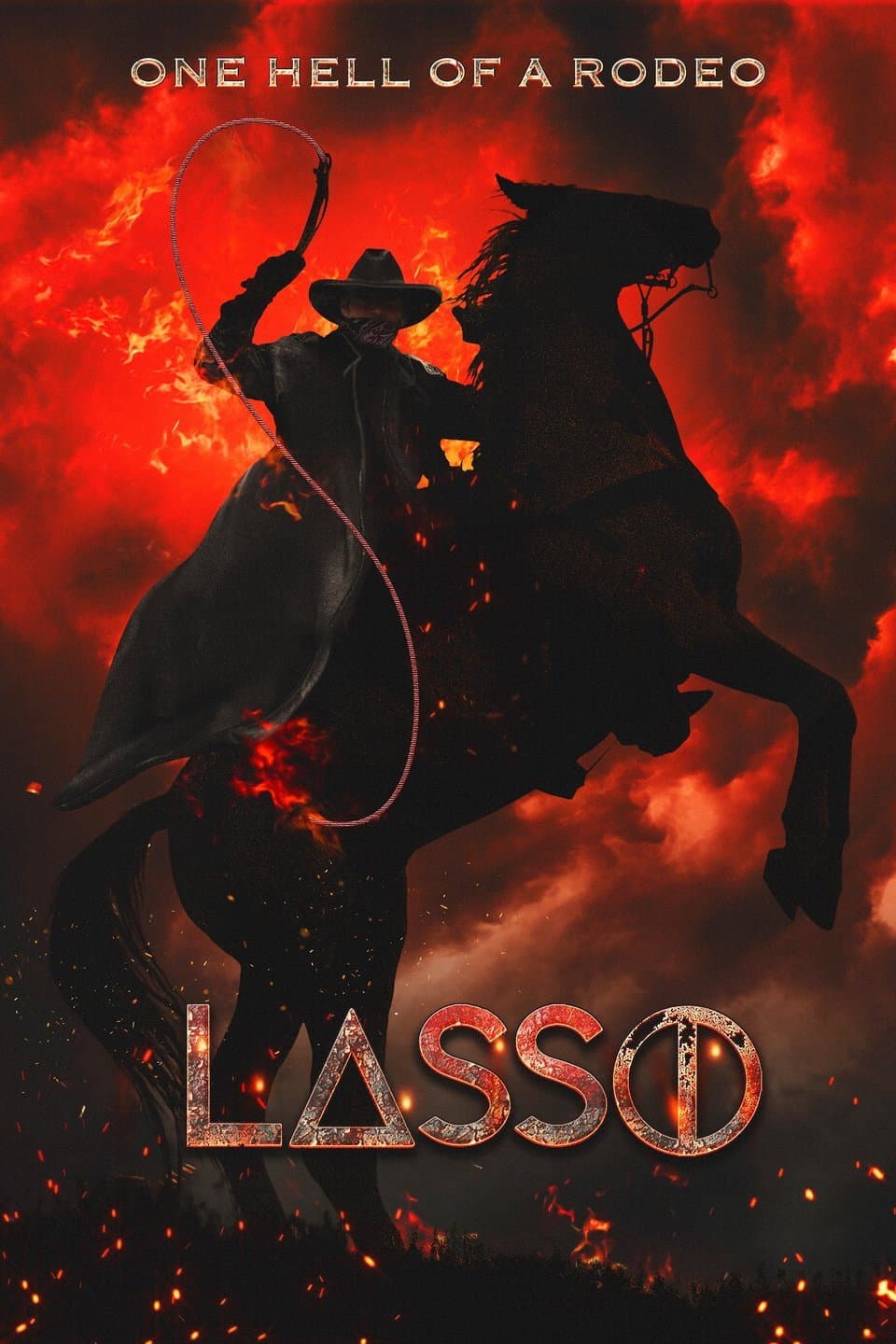 Poster di Lasso