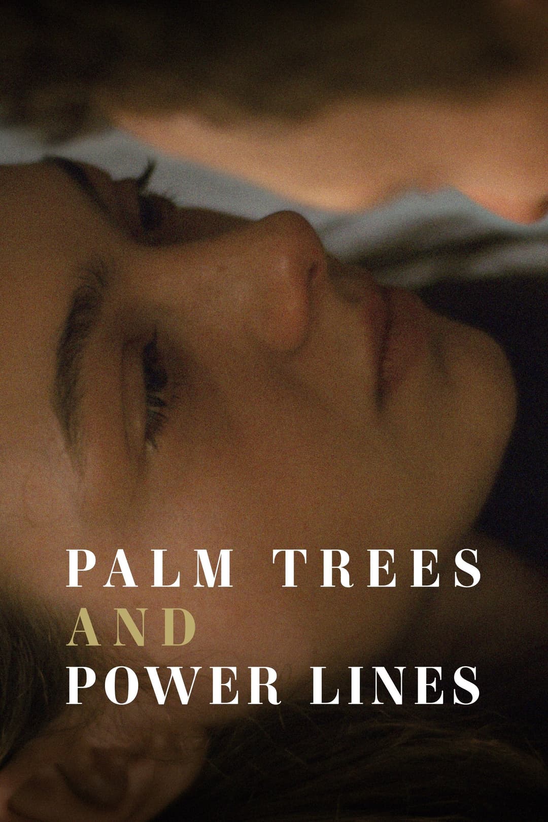 Poster di Palm Trees and Power Lines