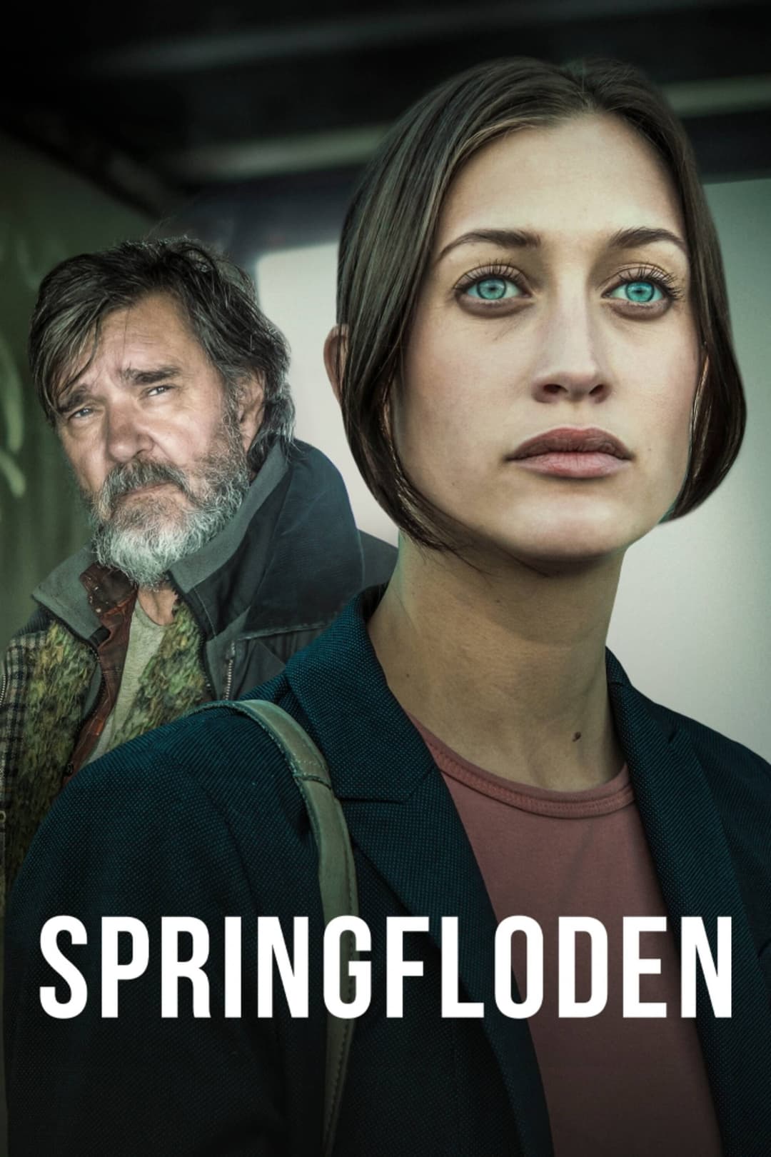 Poster di Springfloden