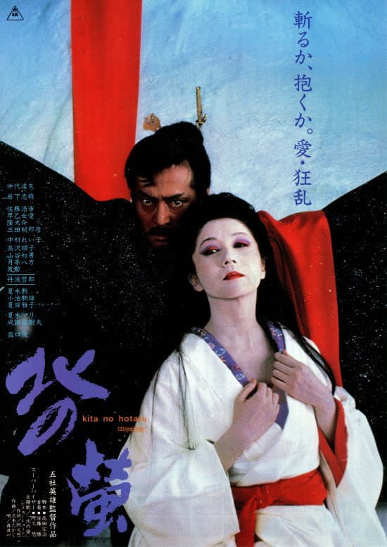Poster di 北の螢