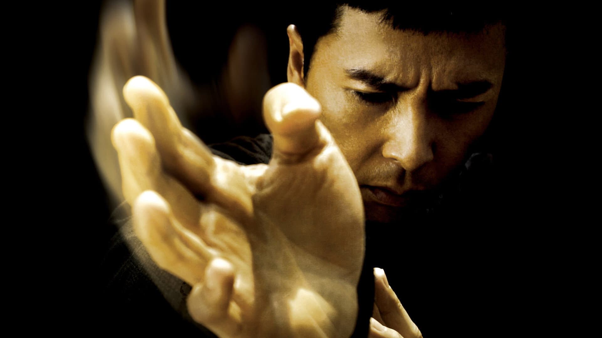 Ip Man - immagine