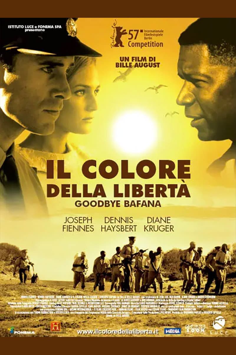 Poster di Il colore della libertà