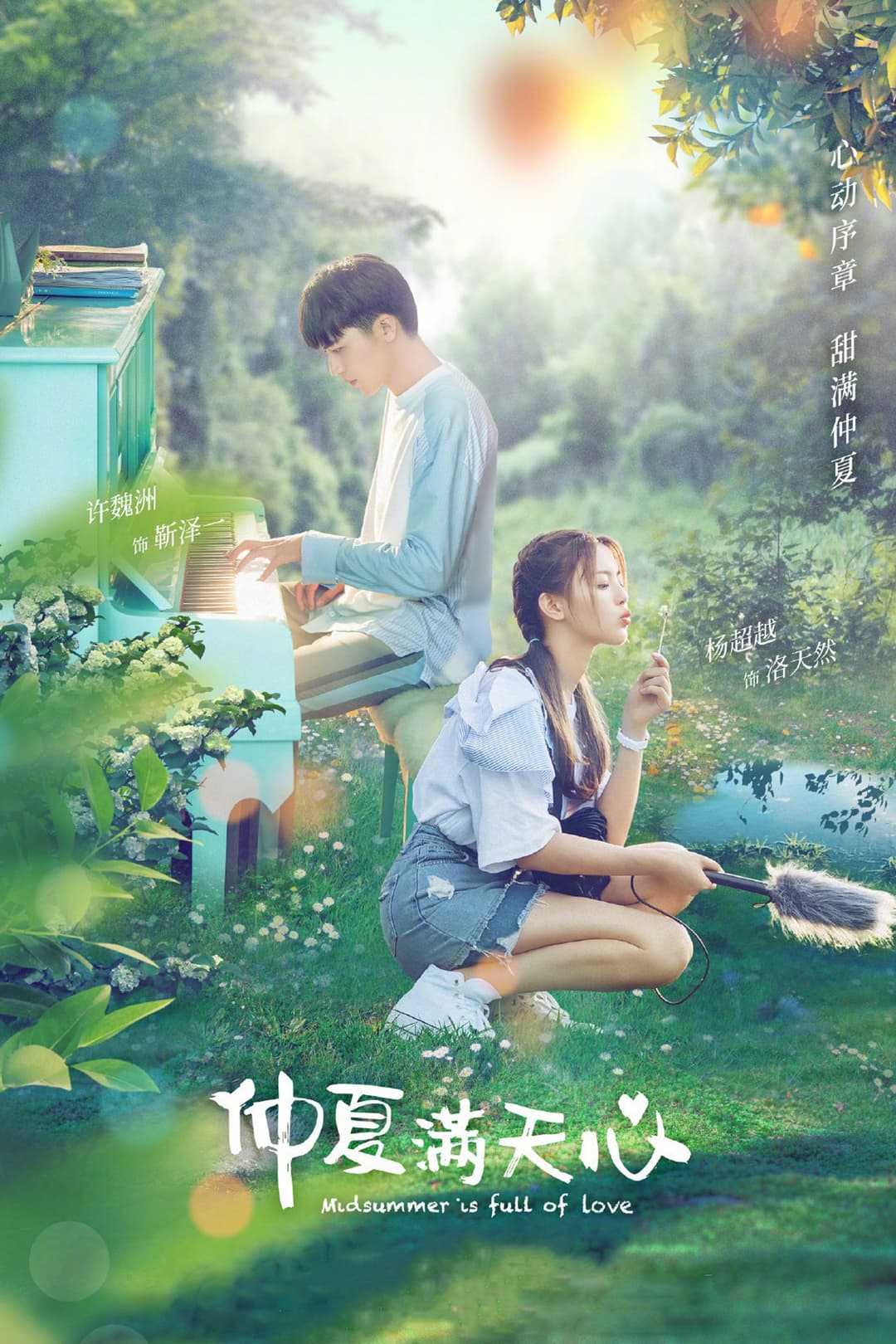 Poster di 仲夏满天心