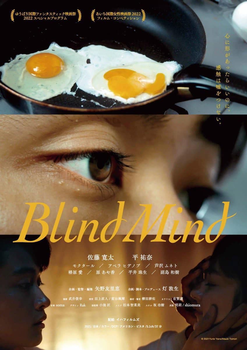 Poster di Blind Mind