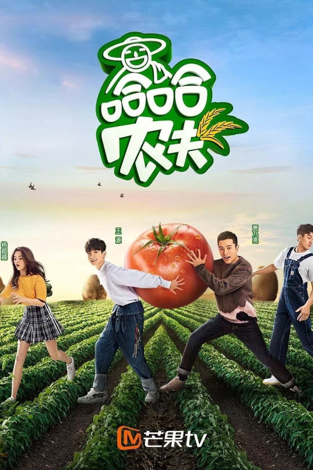 Poster di 哈哈农夫