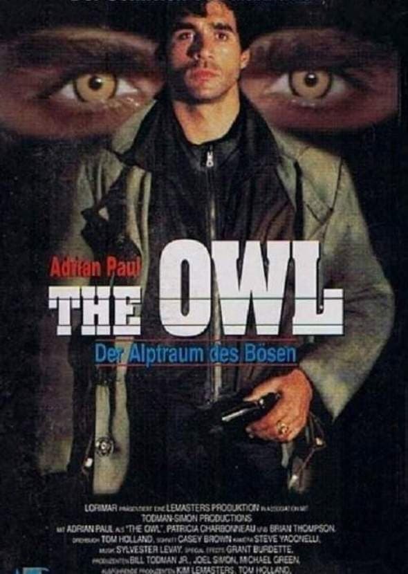 Poster di The Owl - Giustizia finale