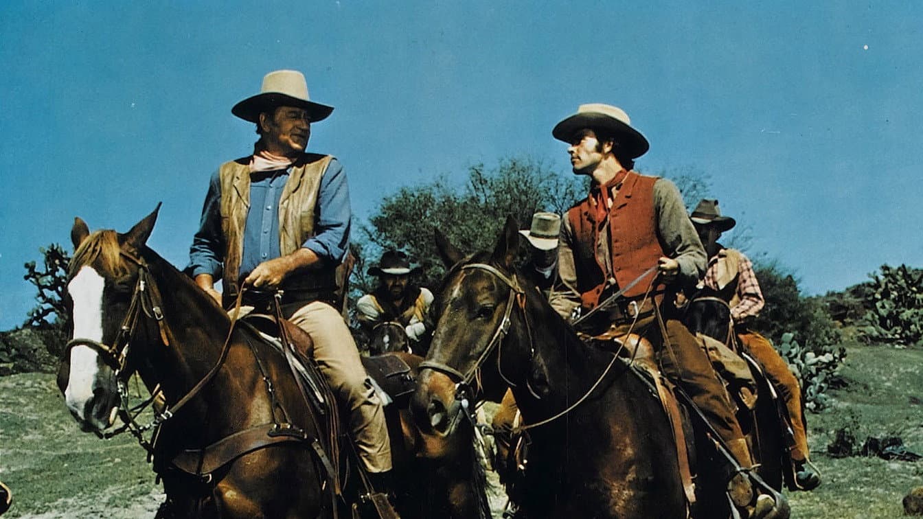 Chisum - immagine