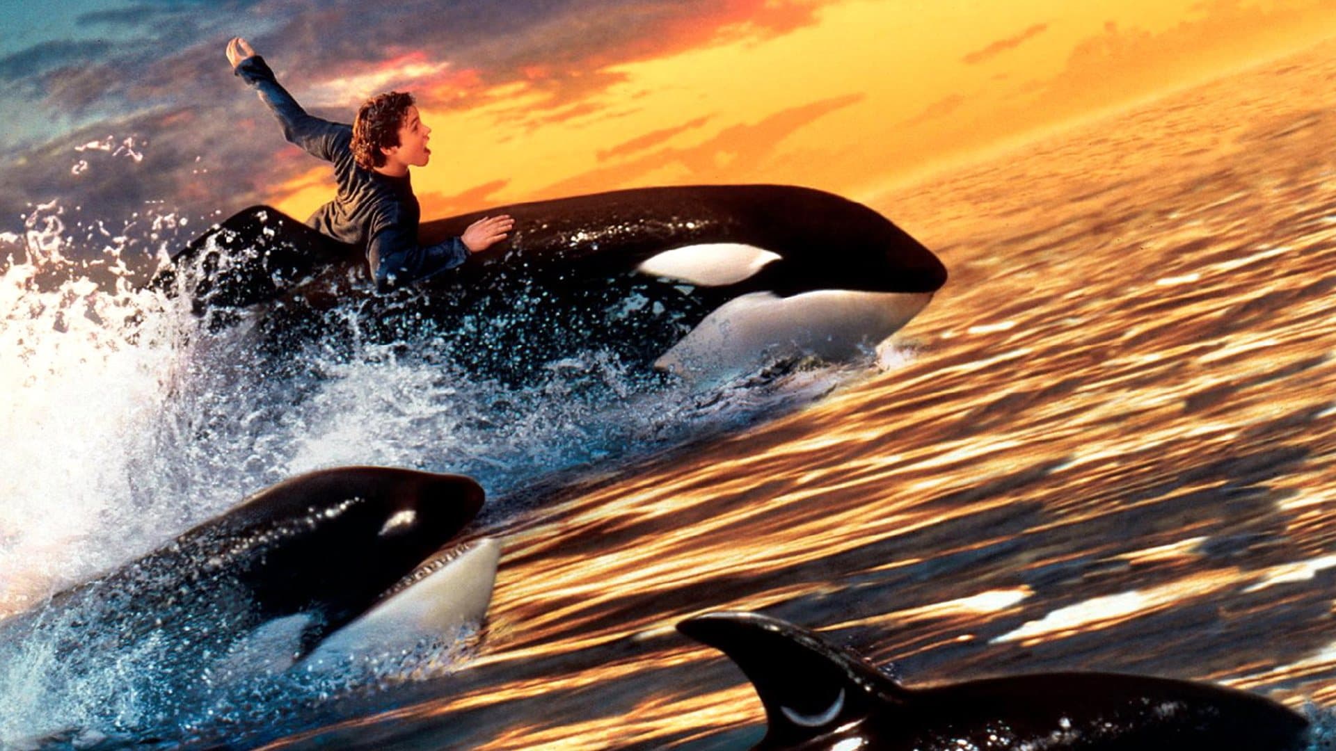 Free Willy 2 - immagine