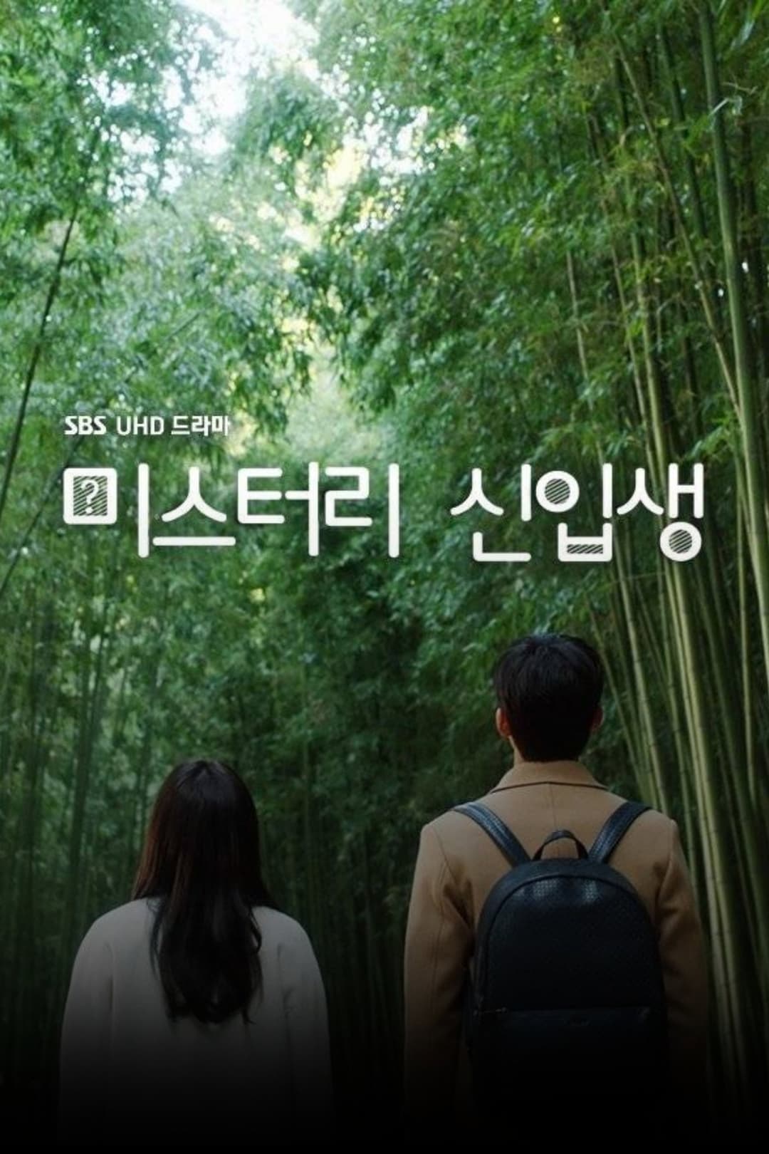 Poster di 미스터리 신입생
