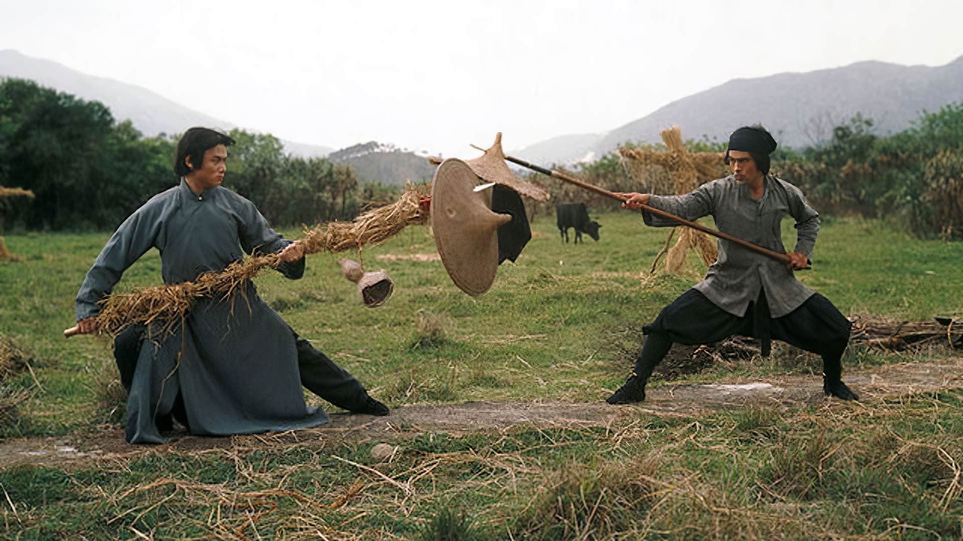 Shaolin sfida ninja - immagine