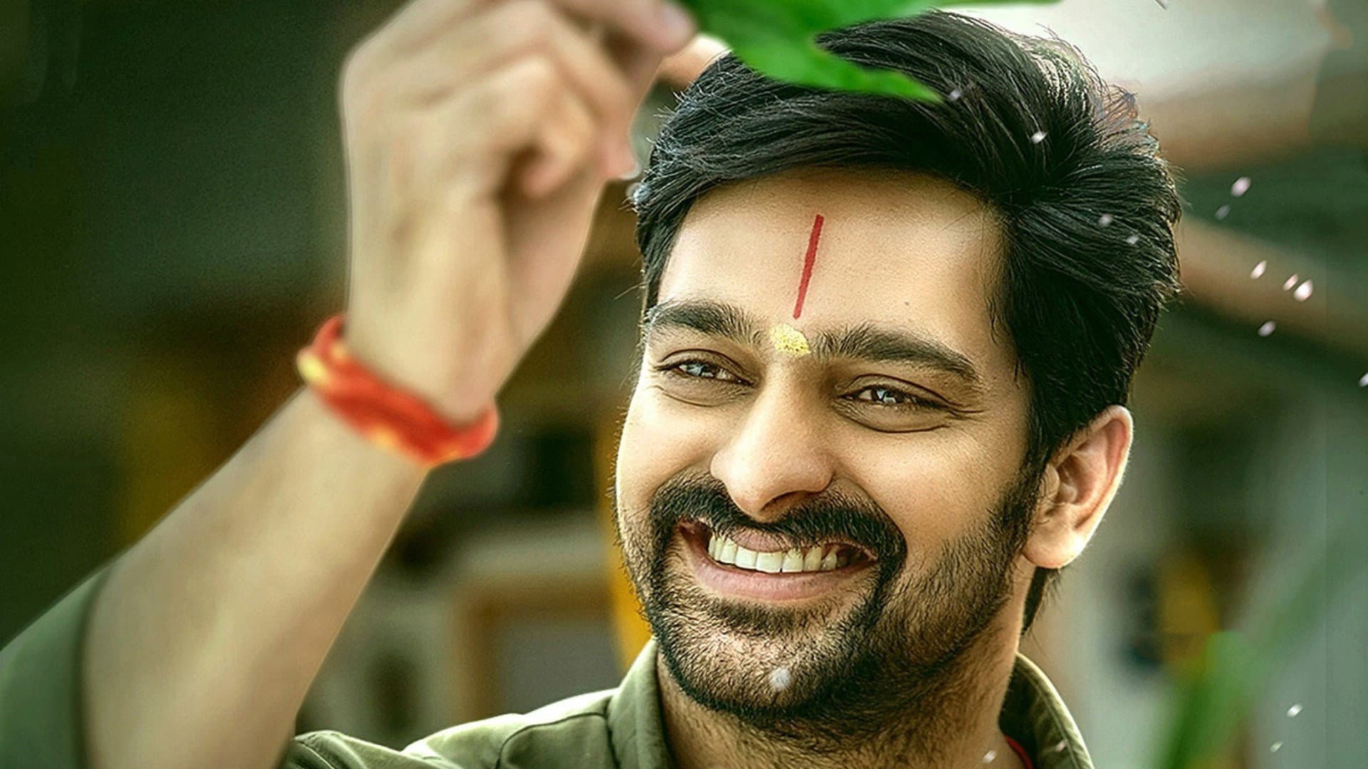 కృష్ణ వ్రింద విహారి - immagine