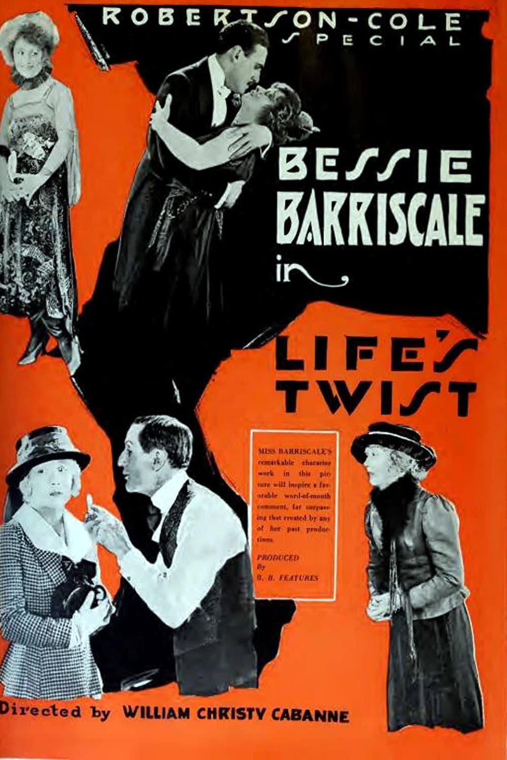 Poster di Life's Twist