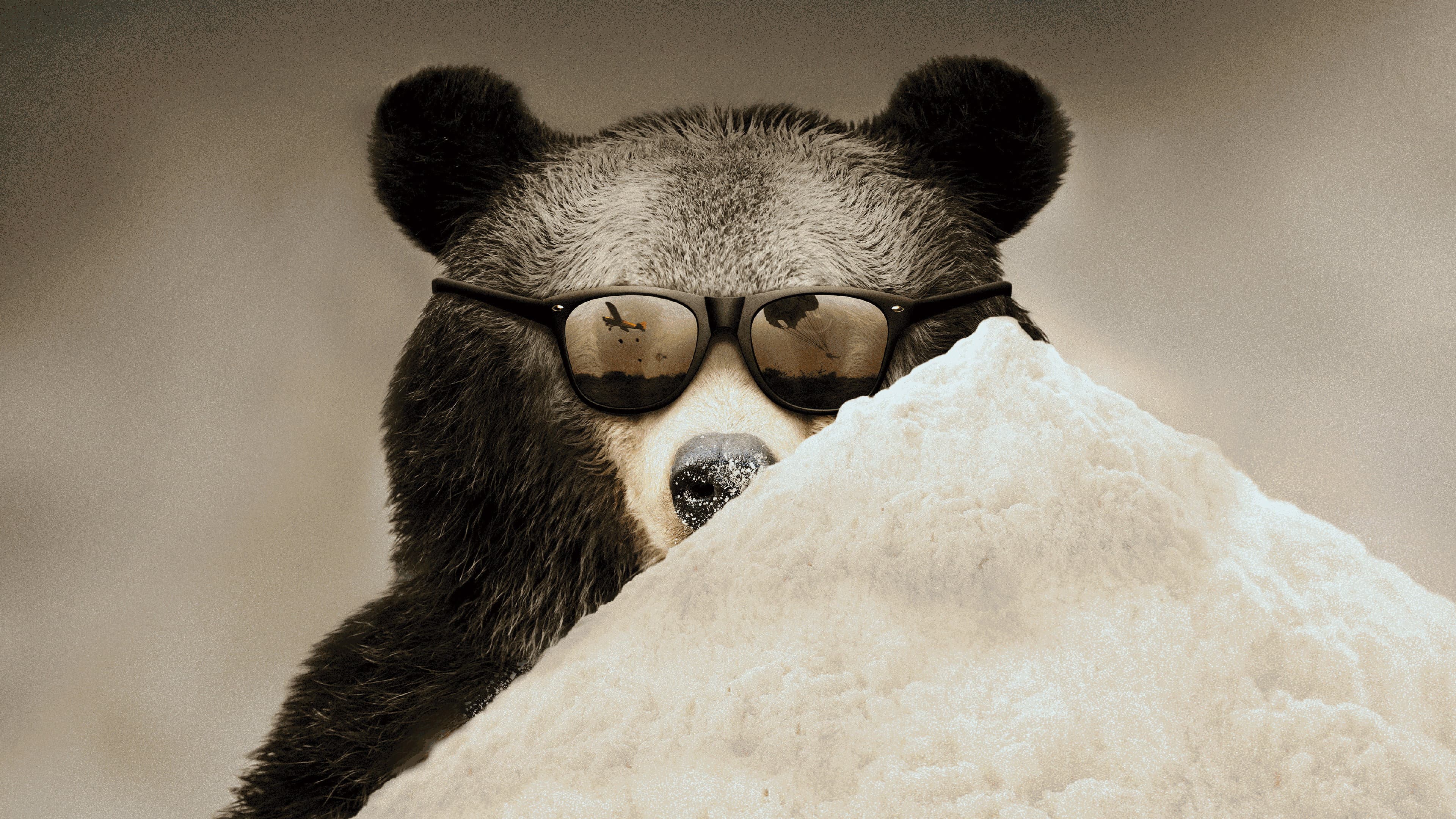 Cocaine Bear: The True Story - immagine