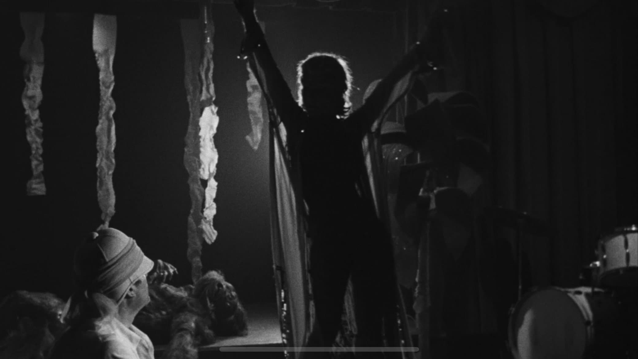 La donna scimmia - immagine