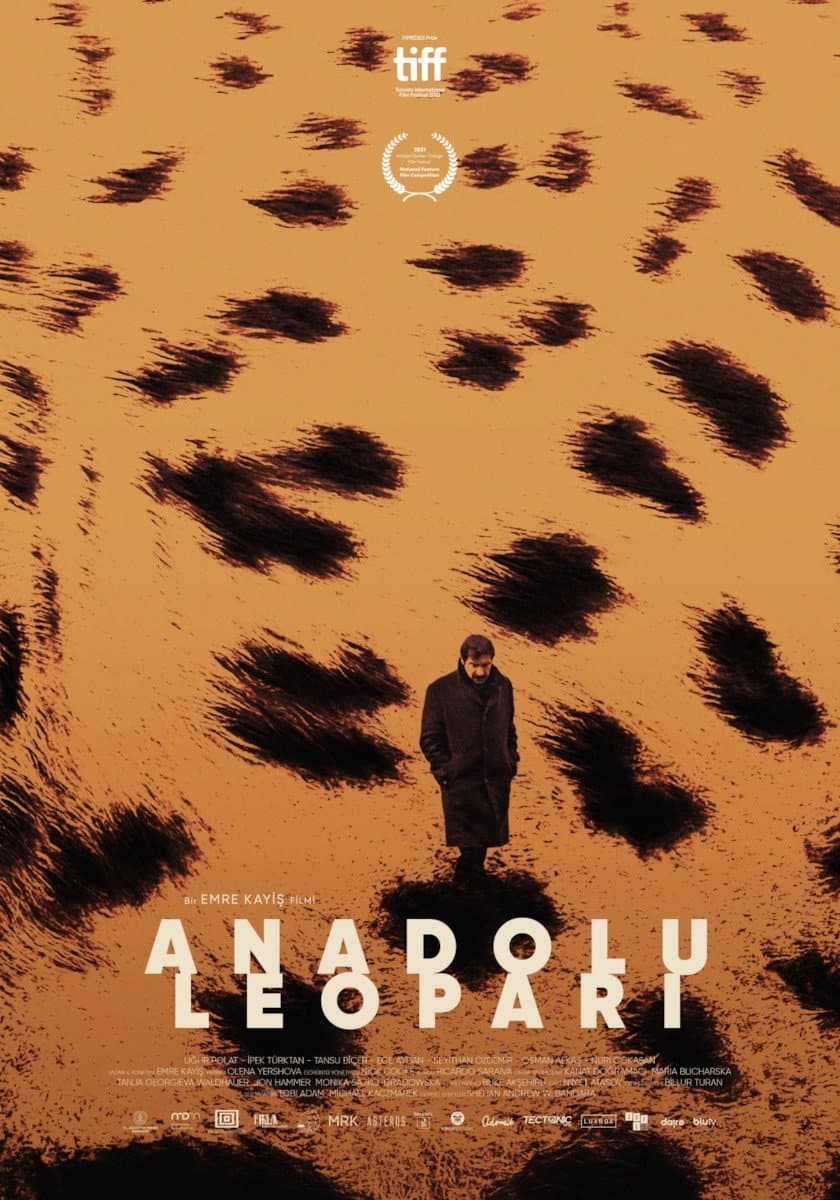 Poster di Anatolian Leopard