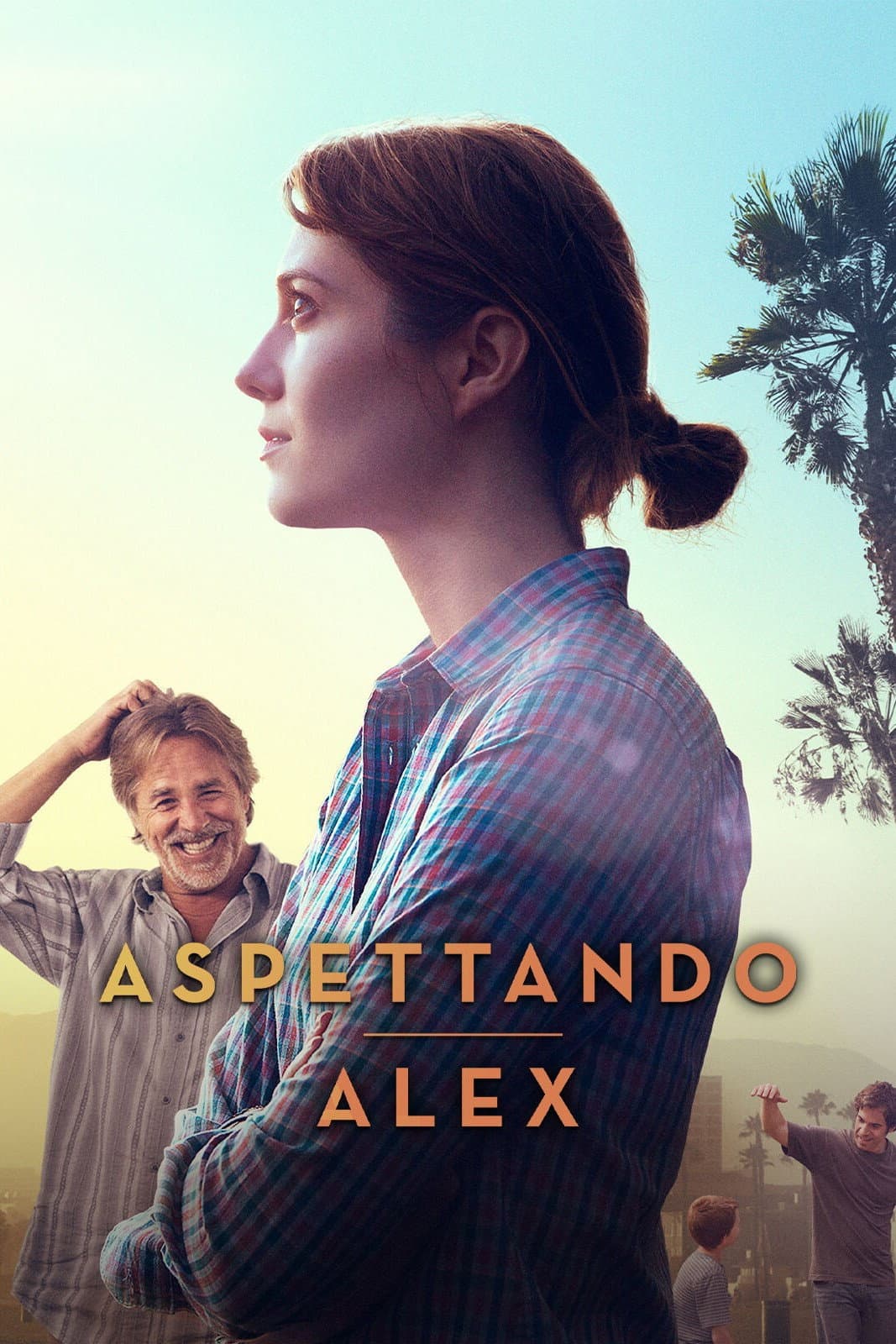 Poster di Aspettando Alex