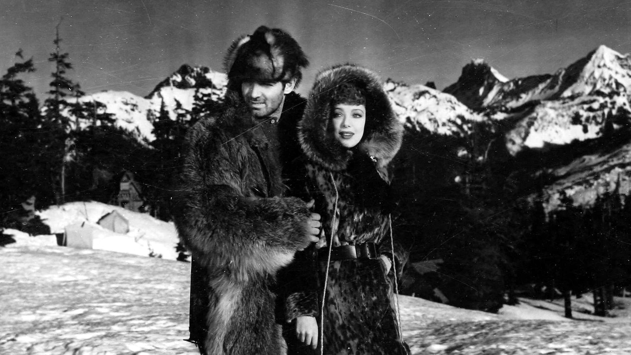 Il richiamo della foresta - immagine