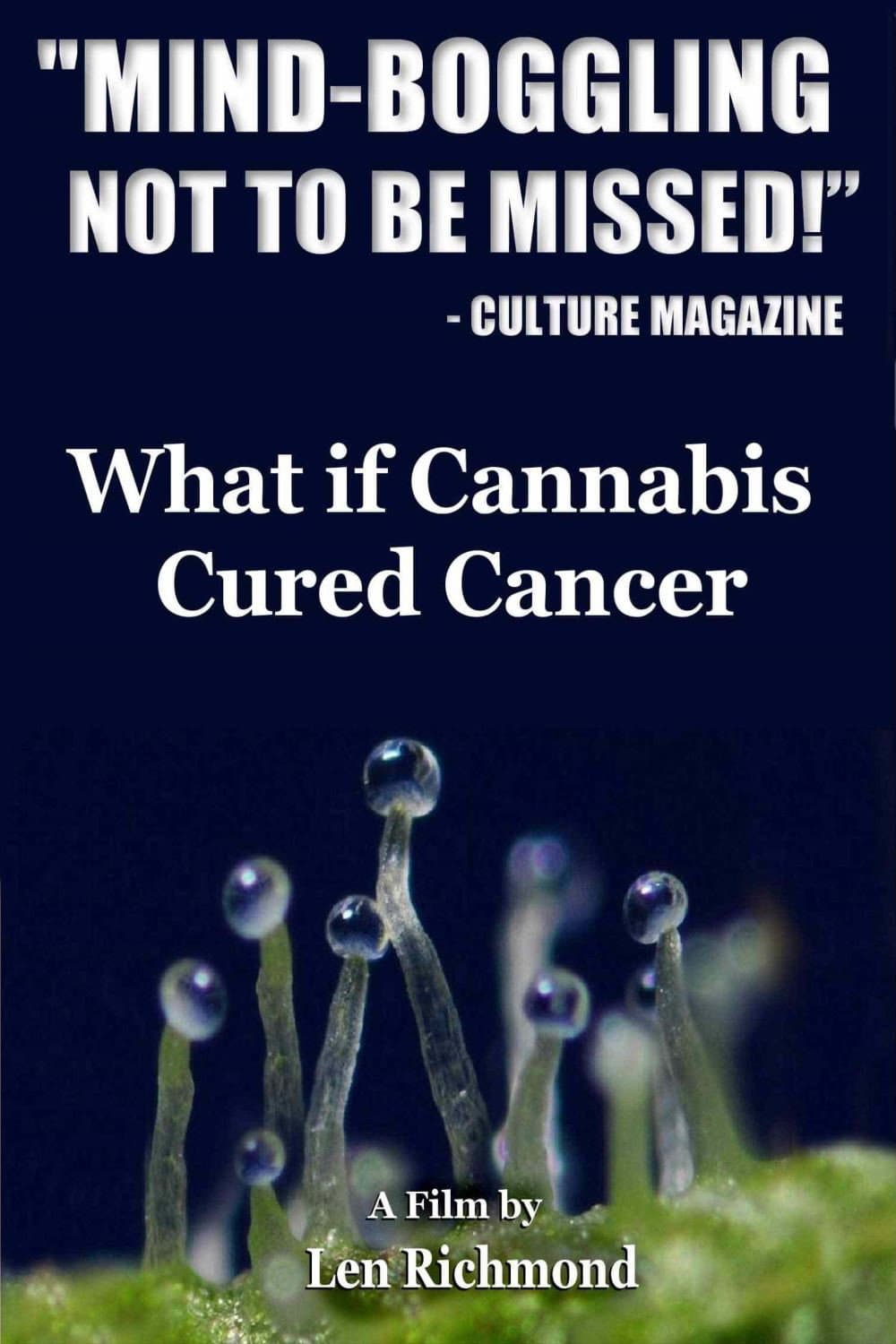 Poster di What If Cannabis Cured Cancer