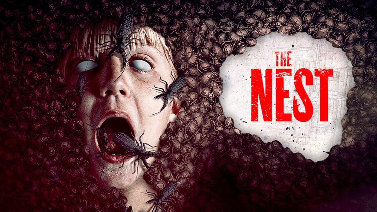 The Nest - immagine