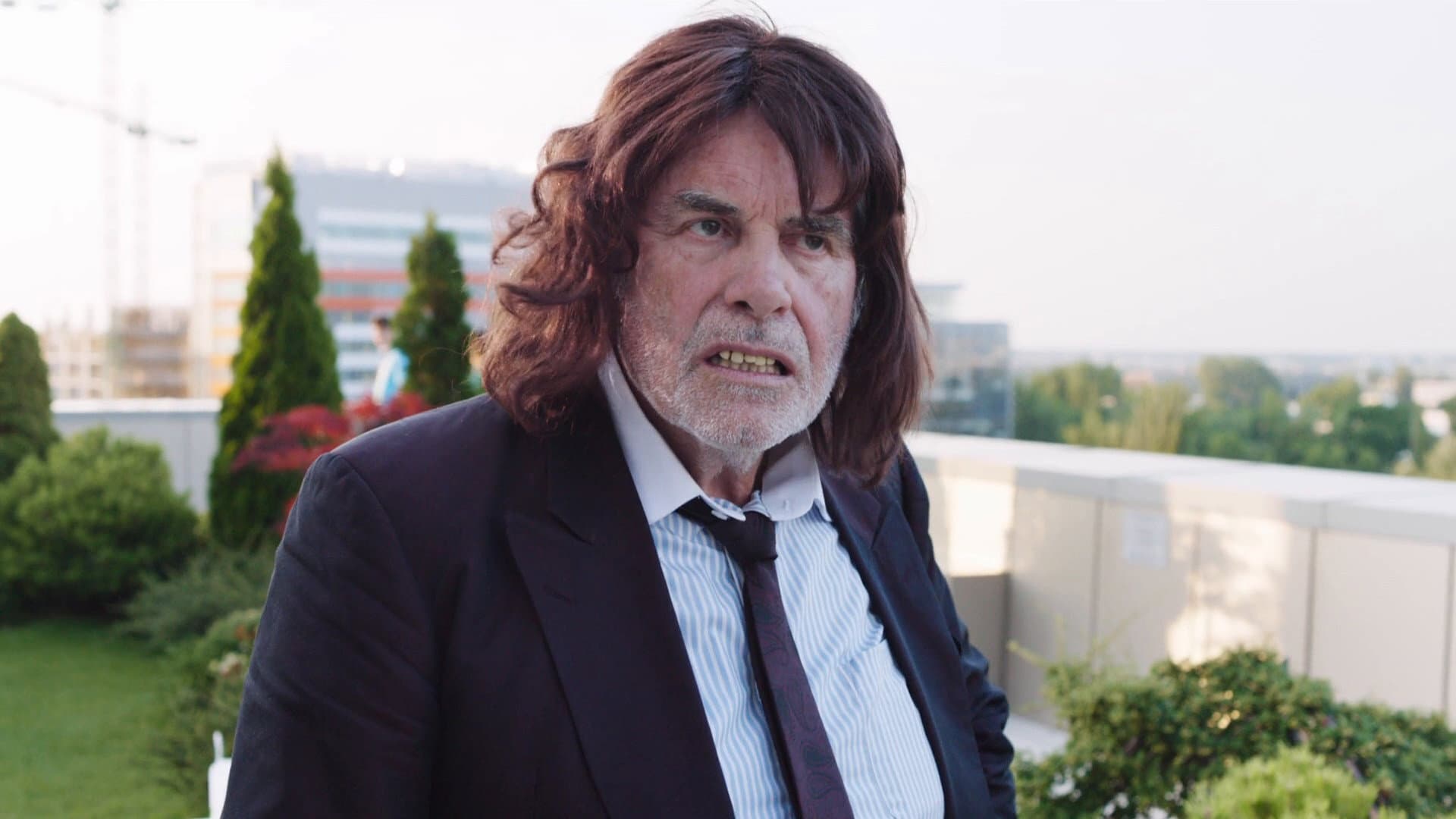 Vi presento Toni Erdmann - immagine