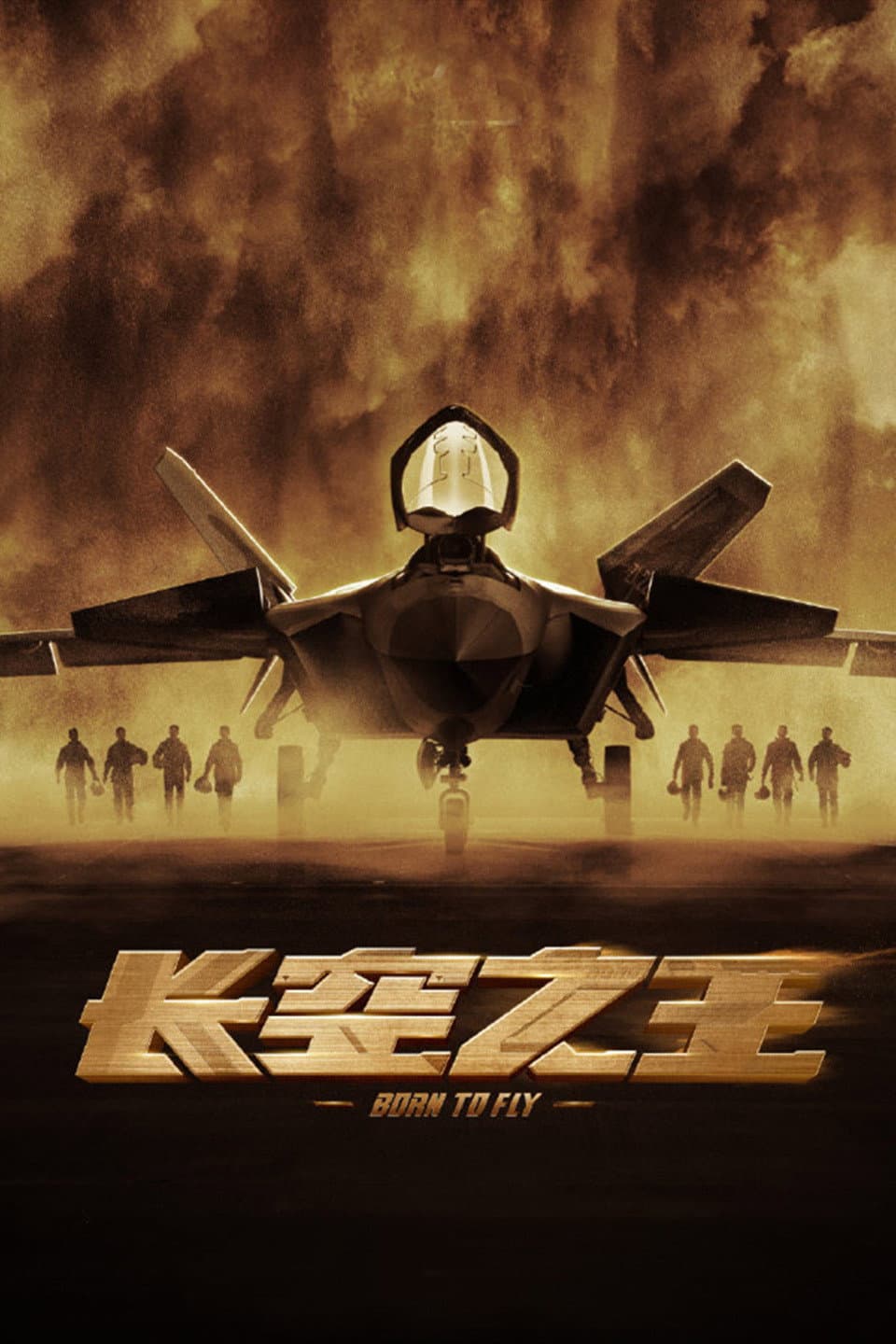 Poster di Born to Fly