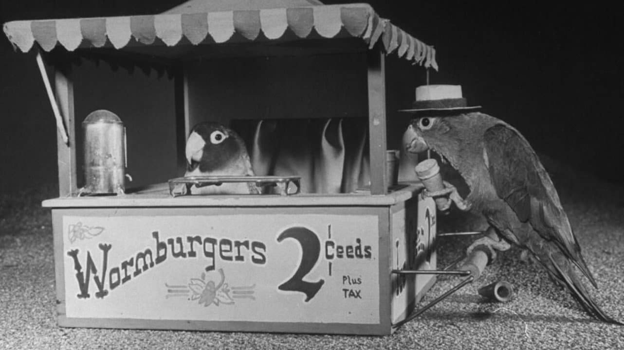 Bill and Coo - immagine