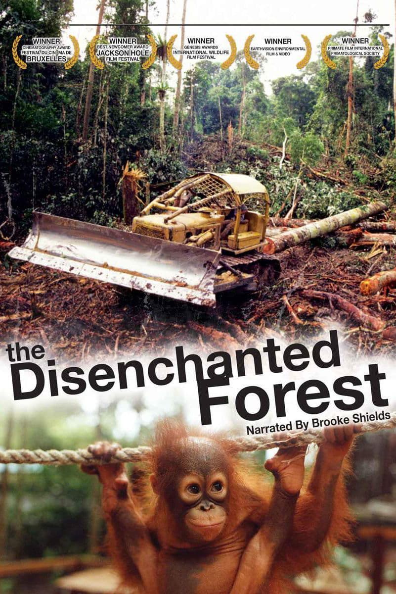 Poster di Disenchanted Forest