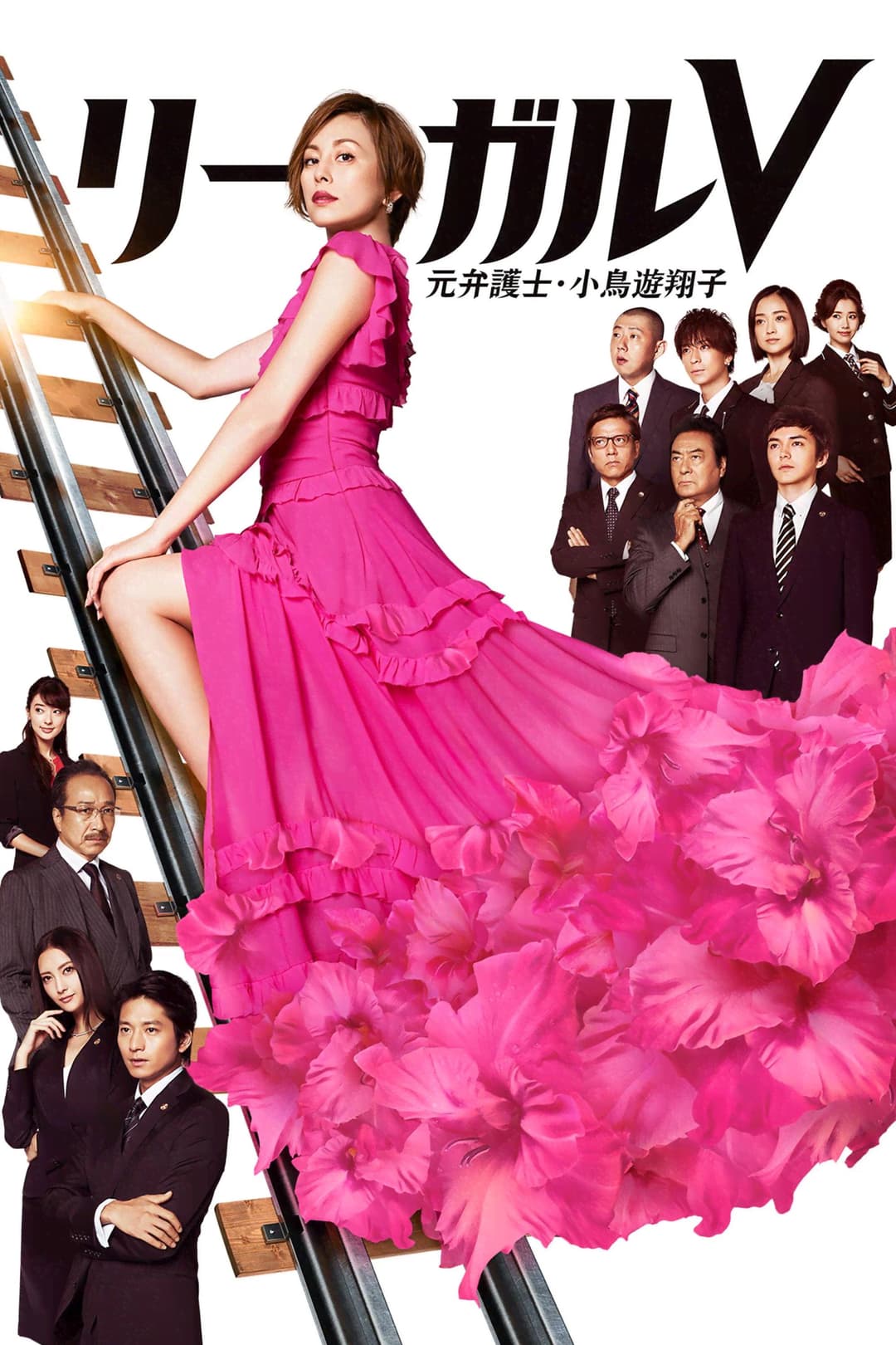 Poster di リーガルV～元弁護士・小鳥遊翔子～