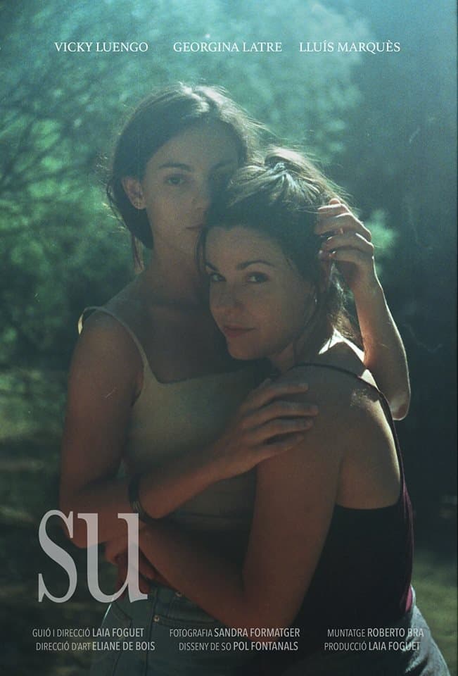 Poster di Su