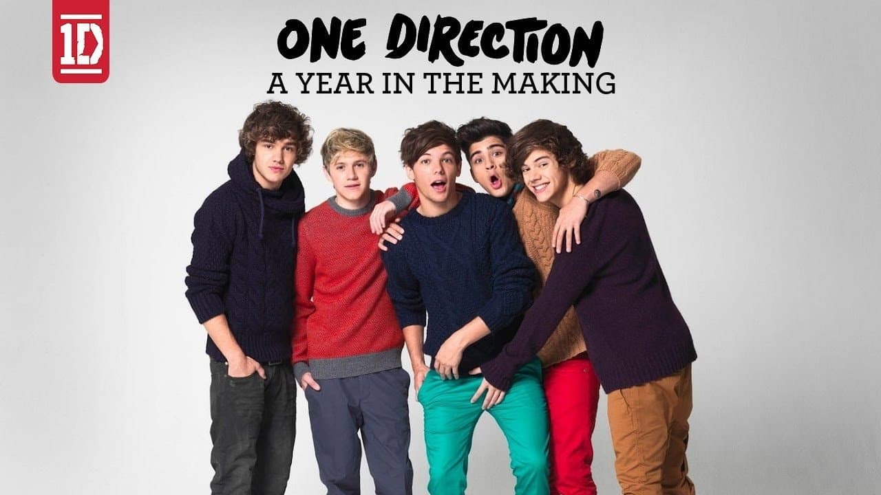 One Direction: A Year in the Making - immagine