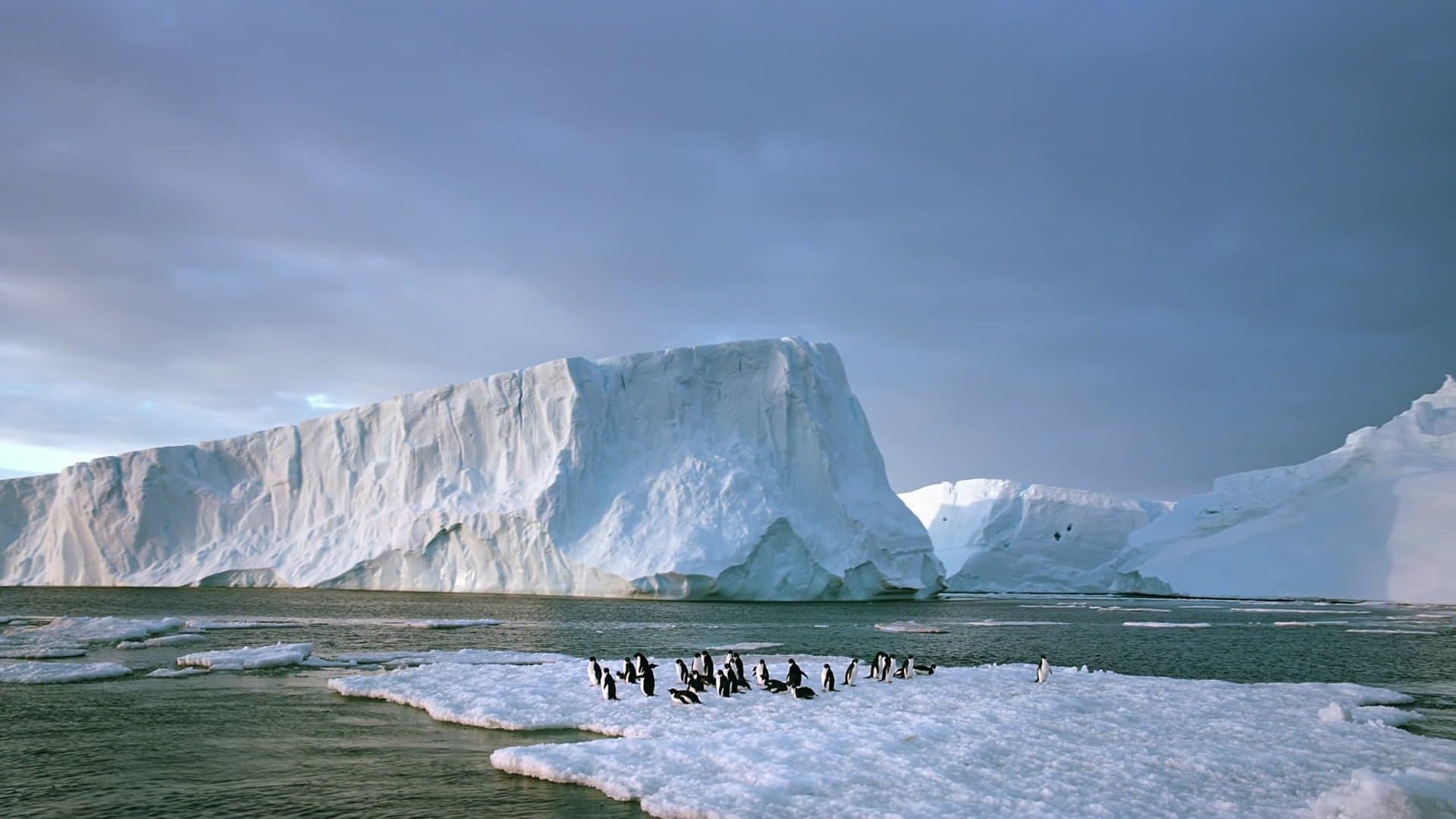 Antarctica: On the Edge - immagine