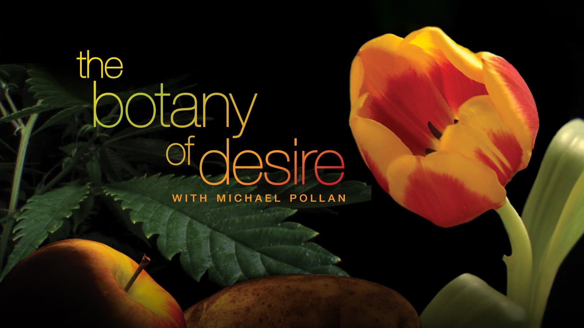 The Botany of Desire - immagine