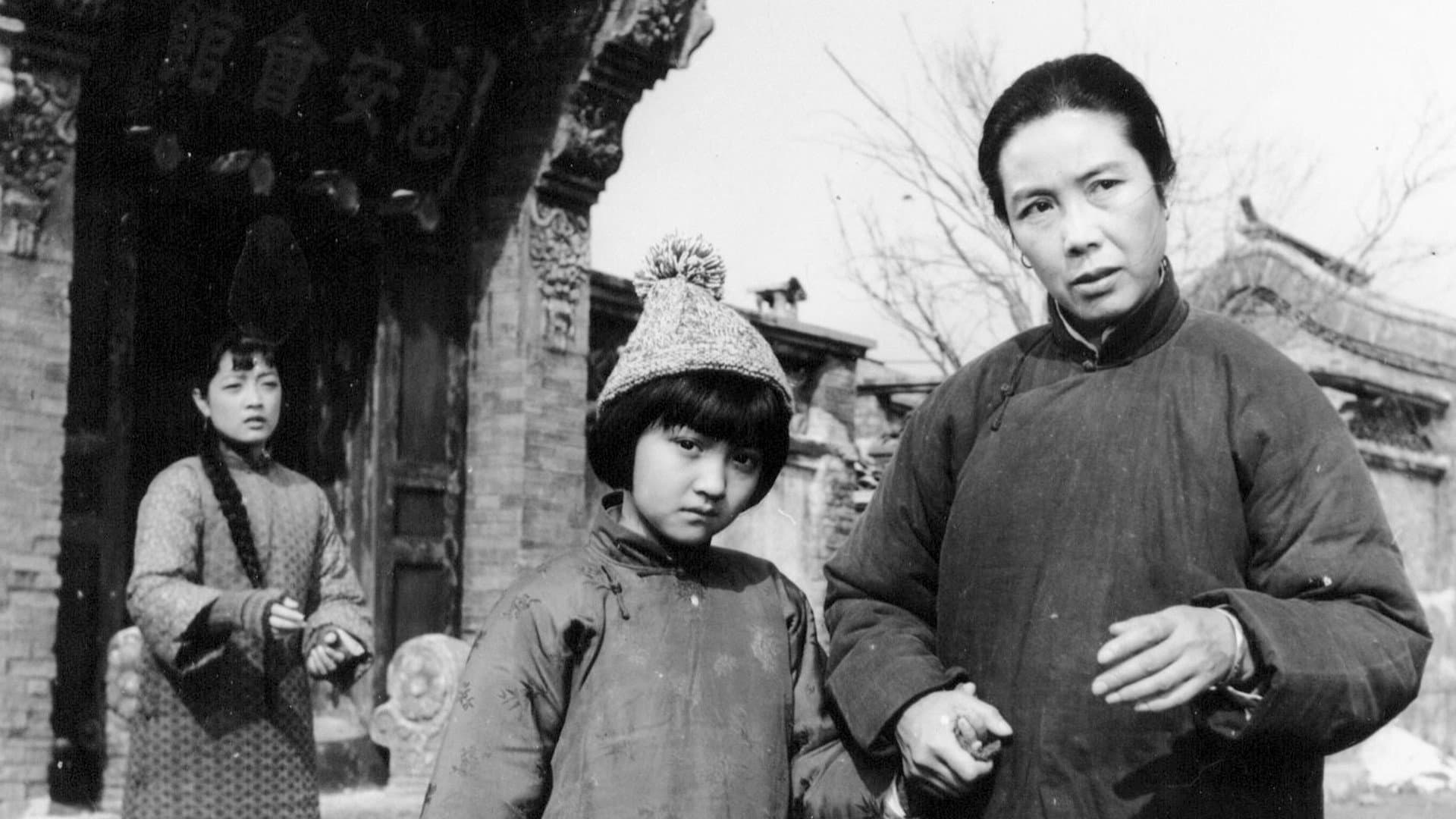 My Memories of Old Beijing - immagine