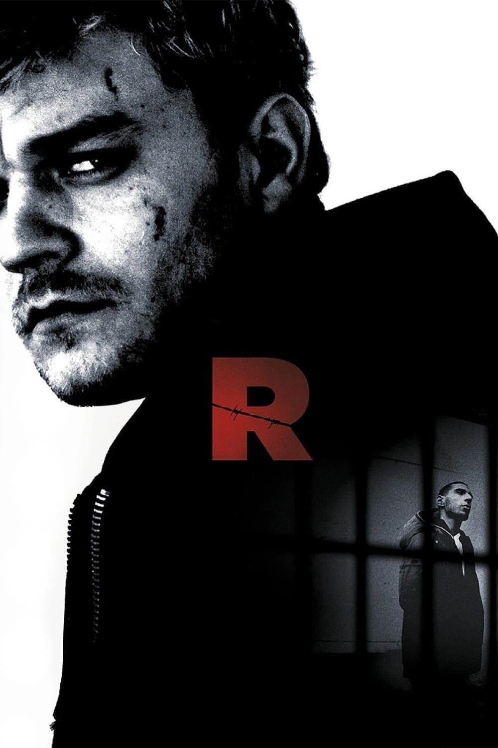 Poster di R