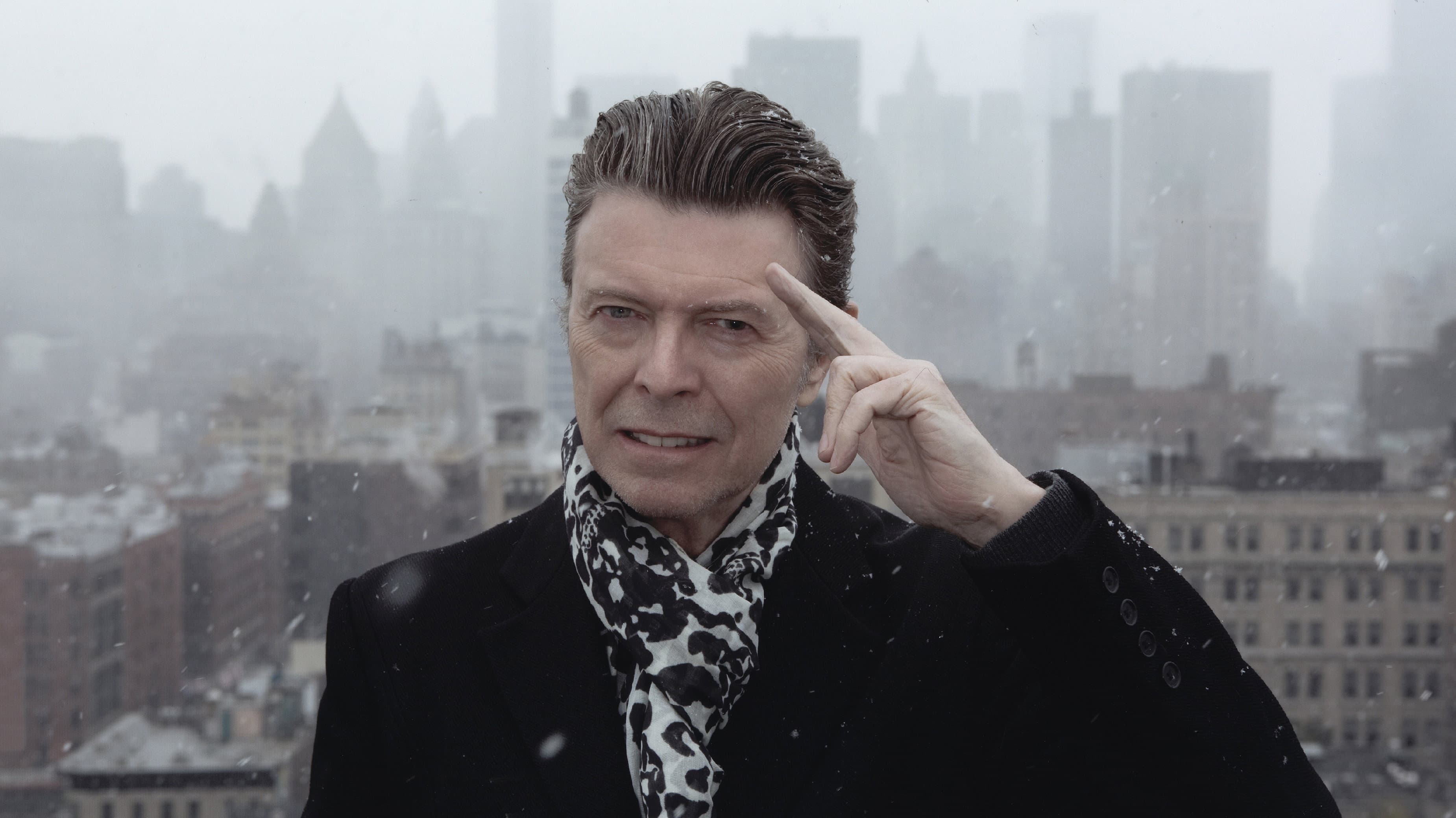David Bowie: The Last Five Years - immagine