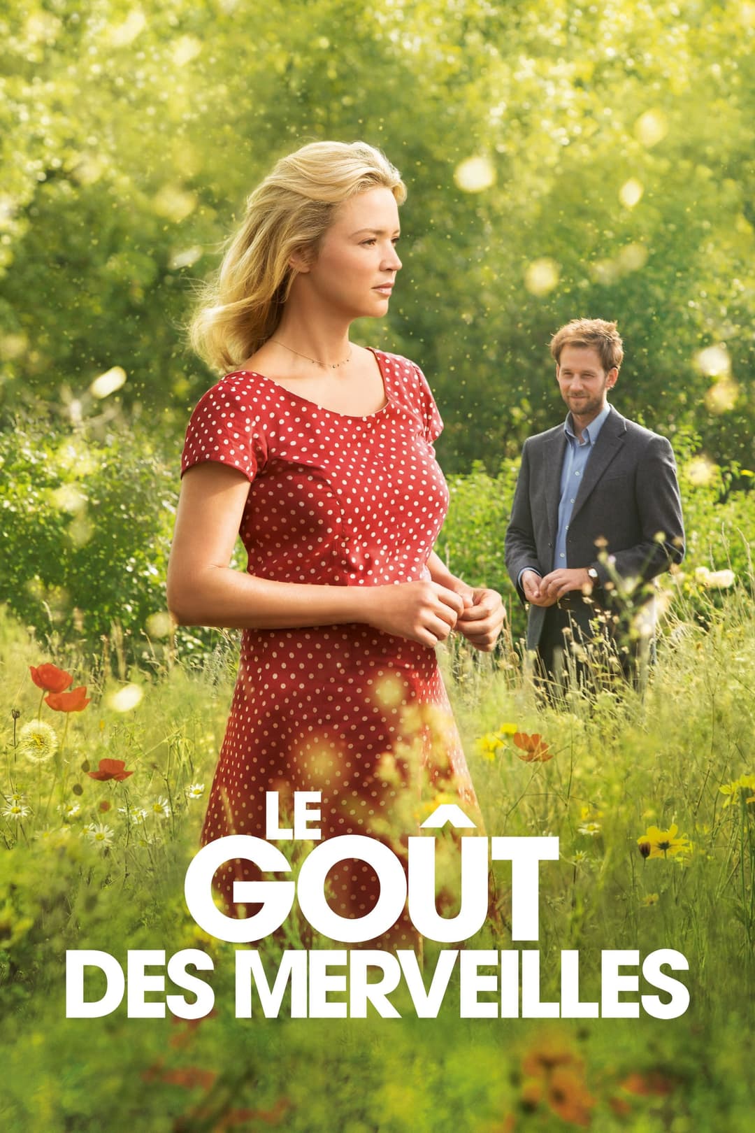 Poster di Le Goût des merveilles