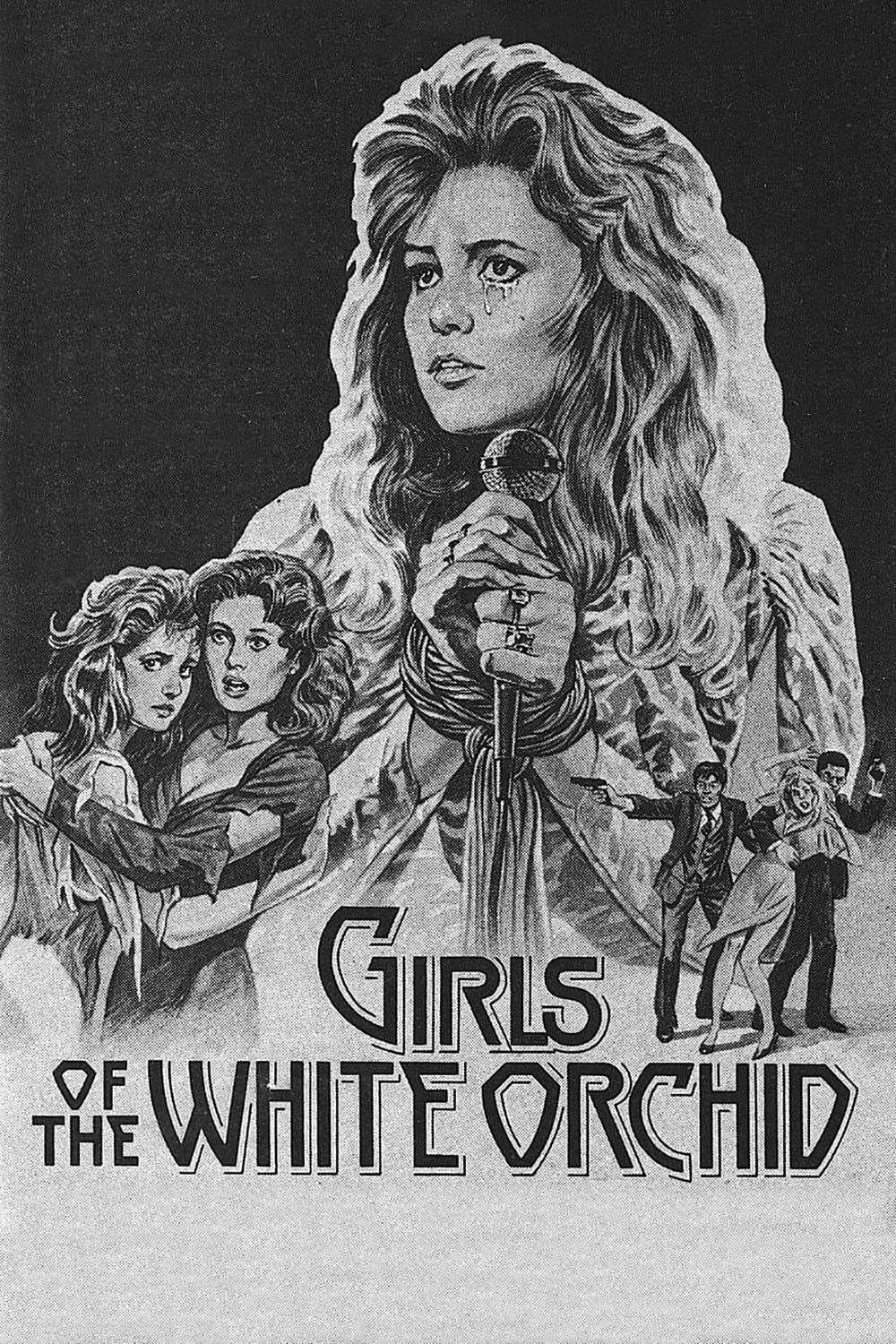 Poster di Sulle orme del dragone