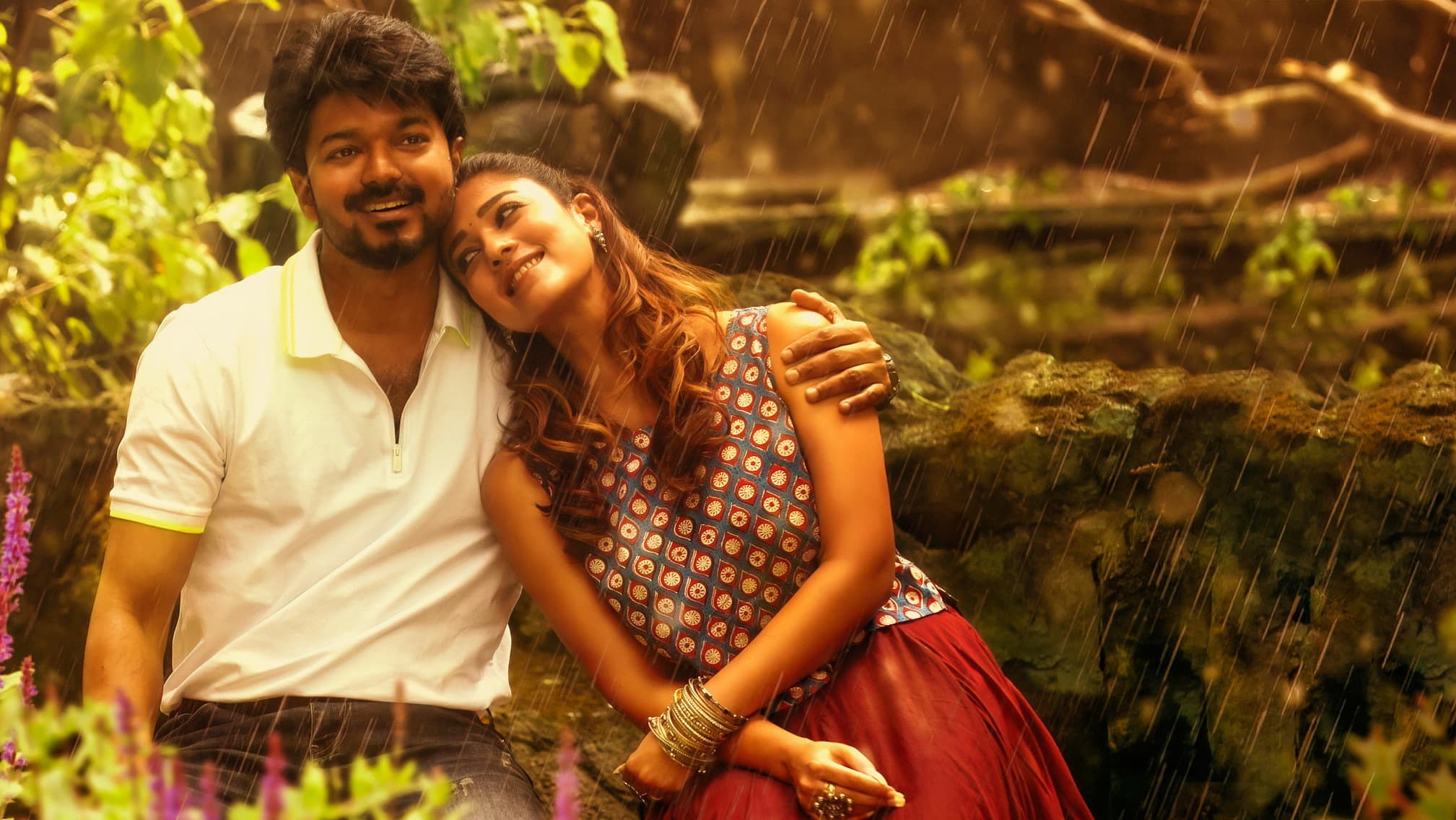 Bigil - immagine