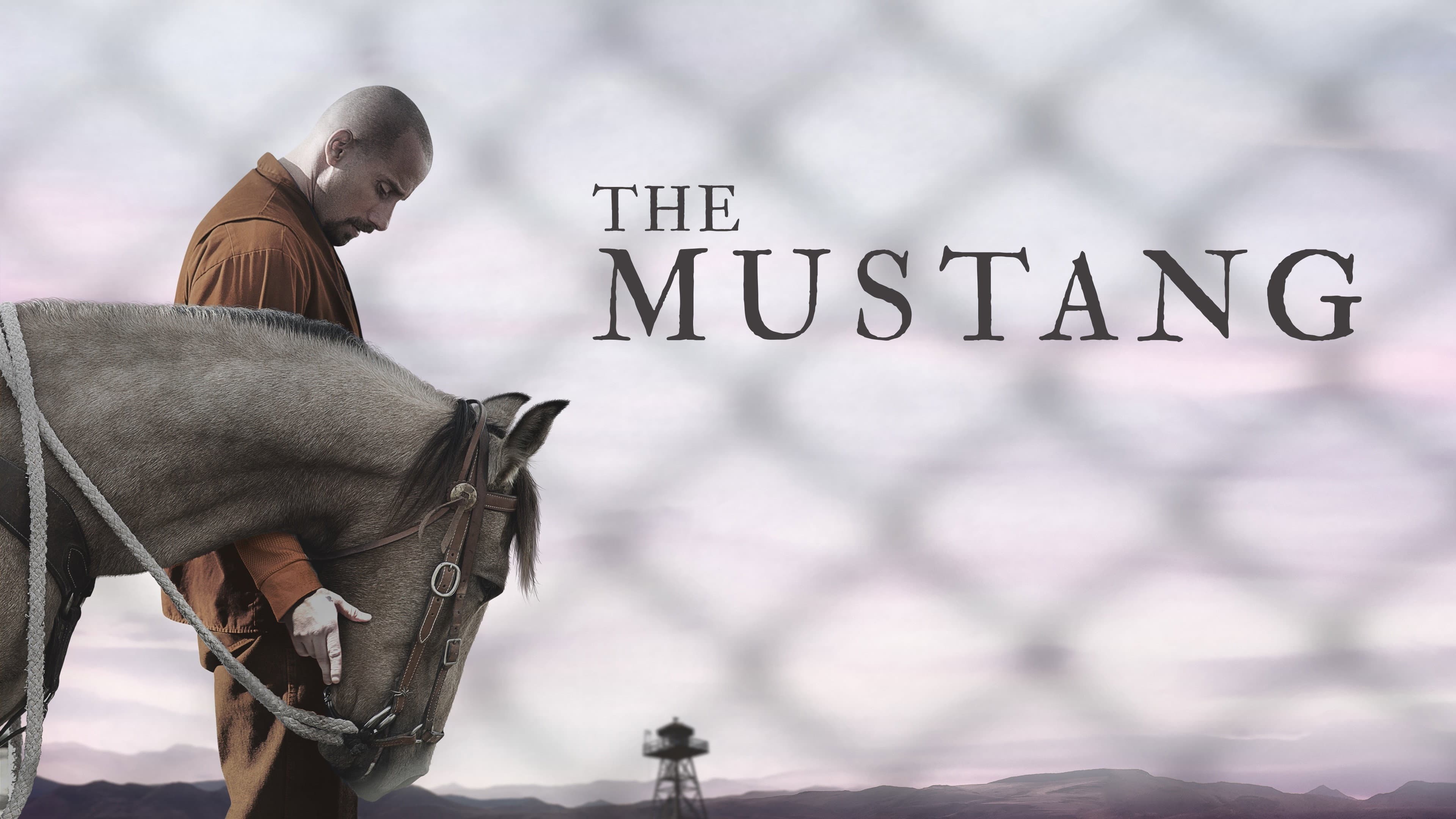 The Mustang - immagine