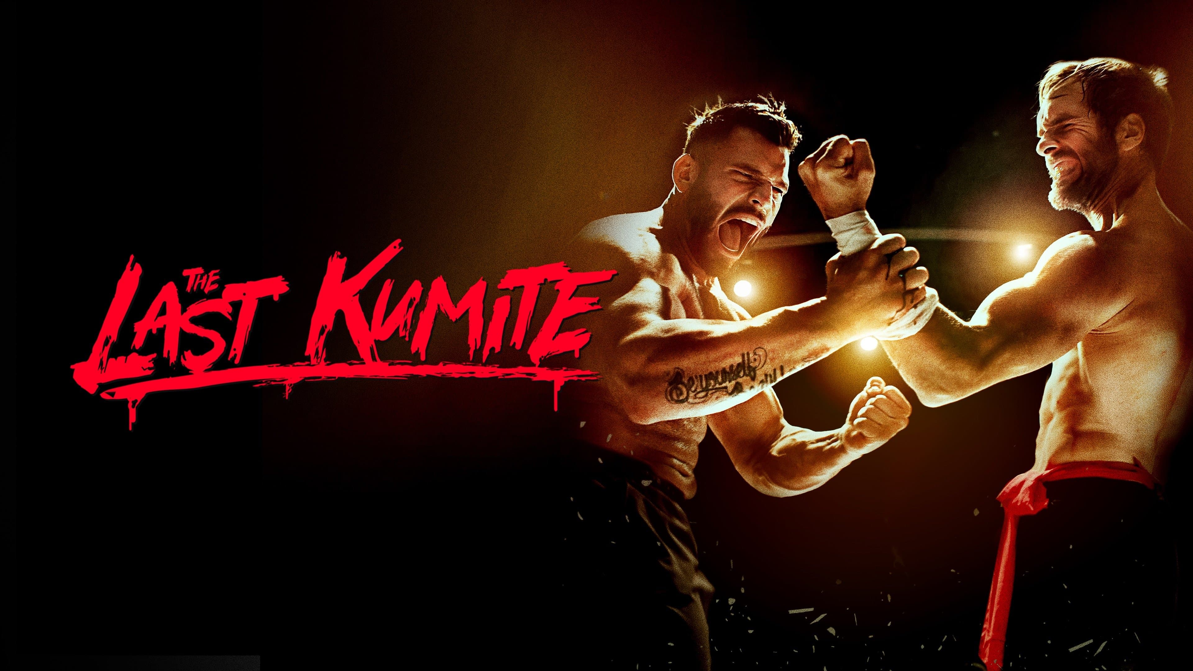The Last Kumite - immagine