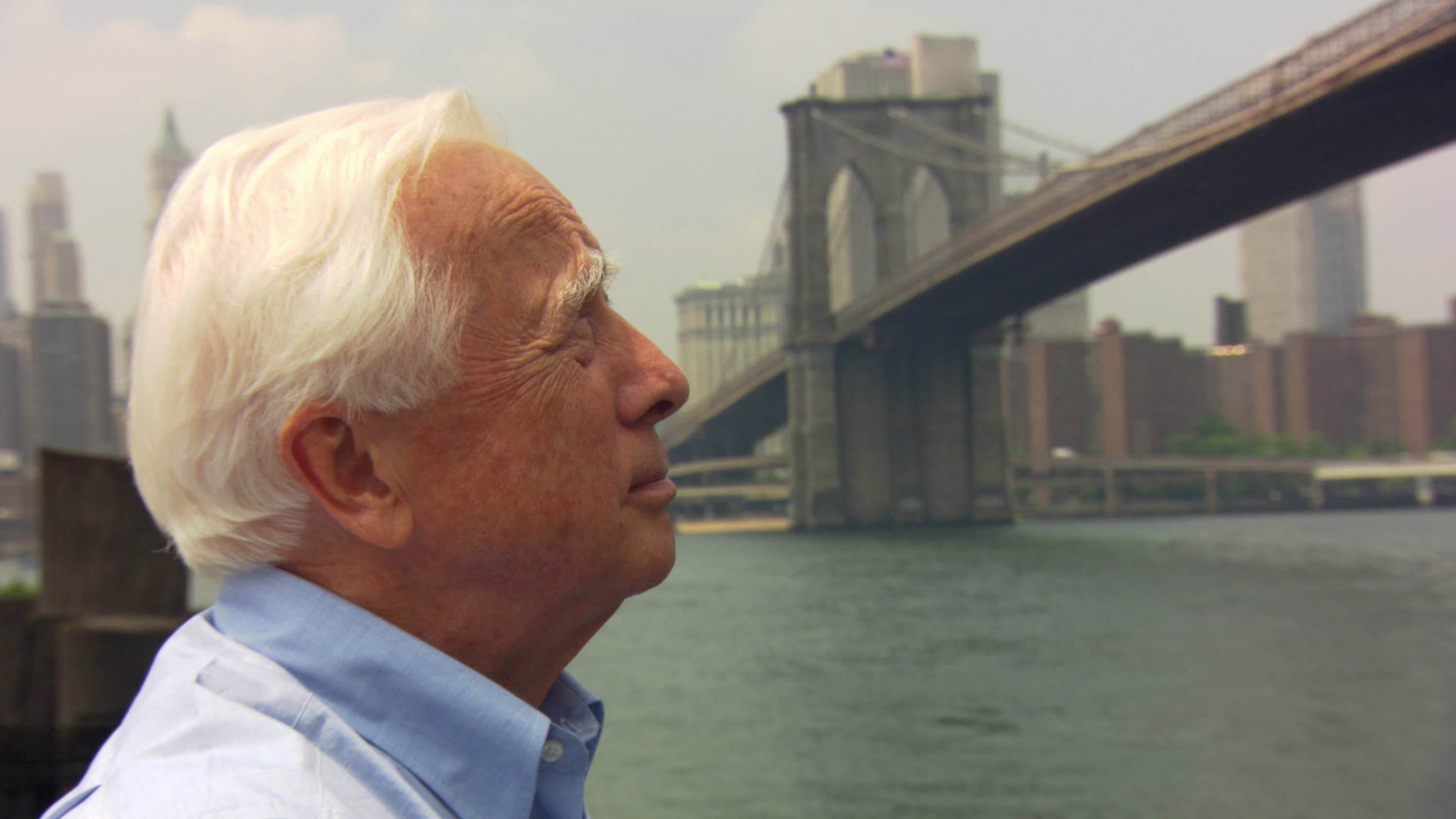 David McCullough: Painting with Words - immagine