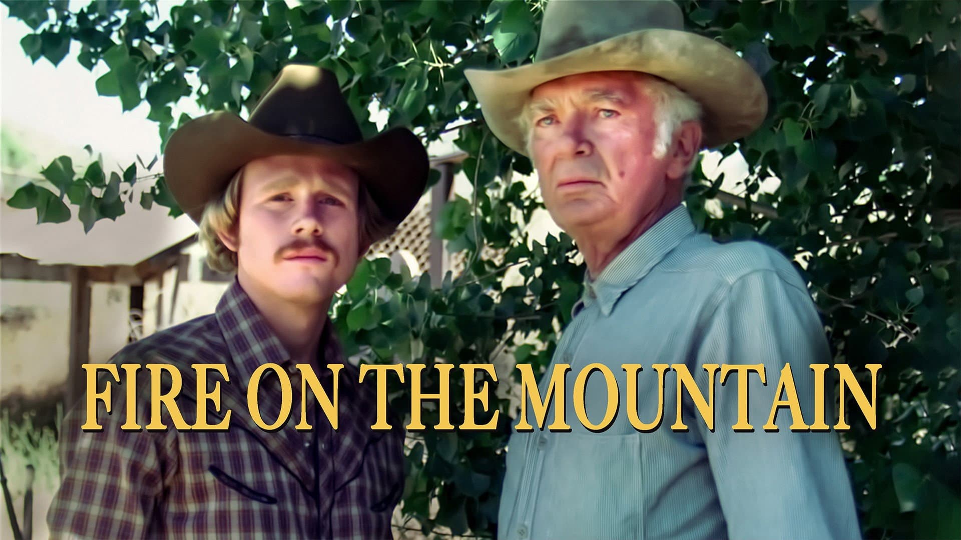 Fire on the Mountain - immagine