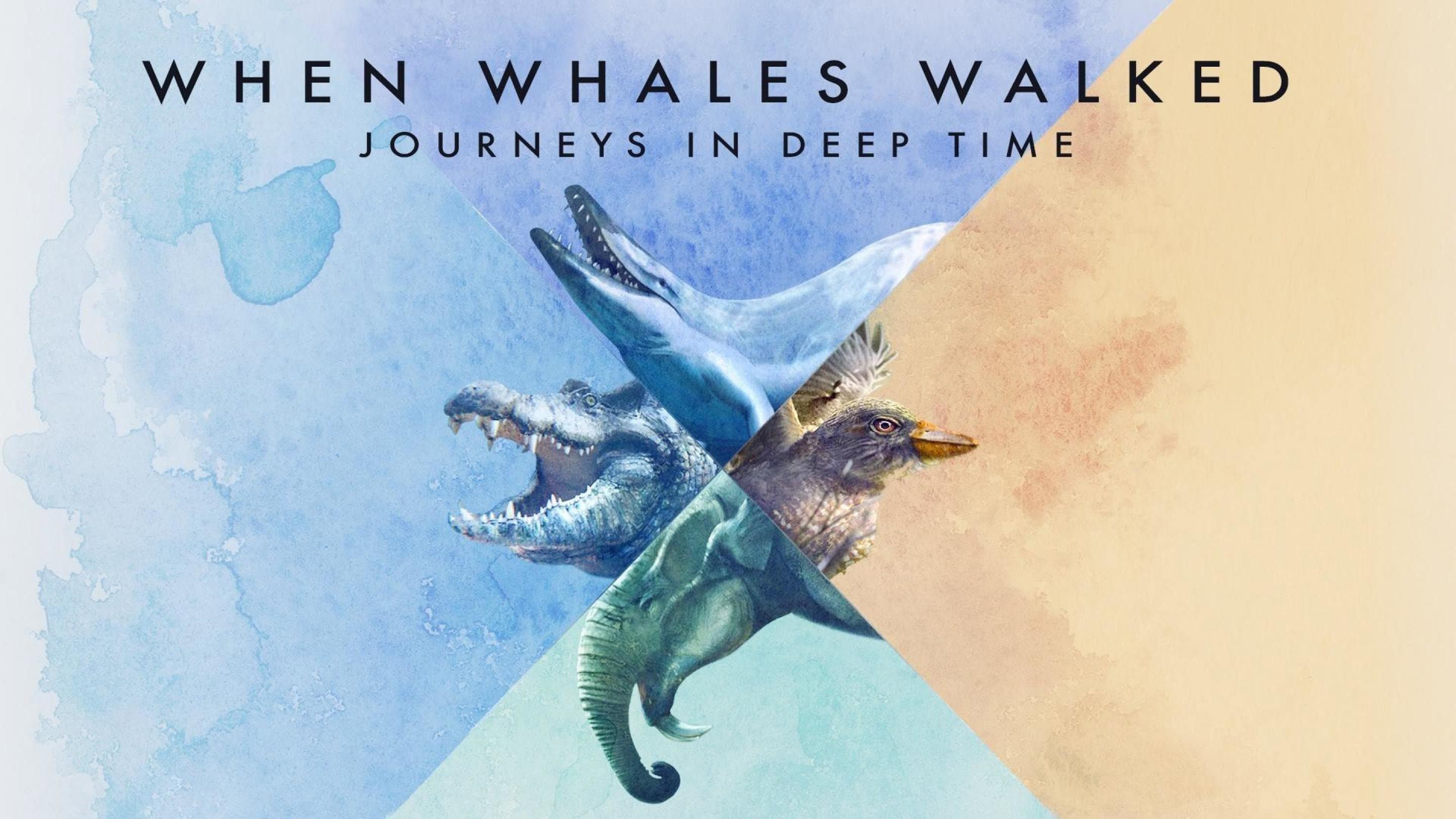 When Whales Walked: Journeys in Deep Time - immagine