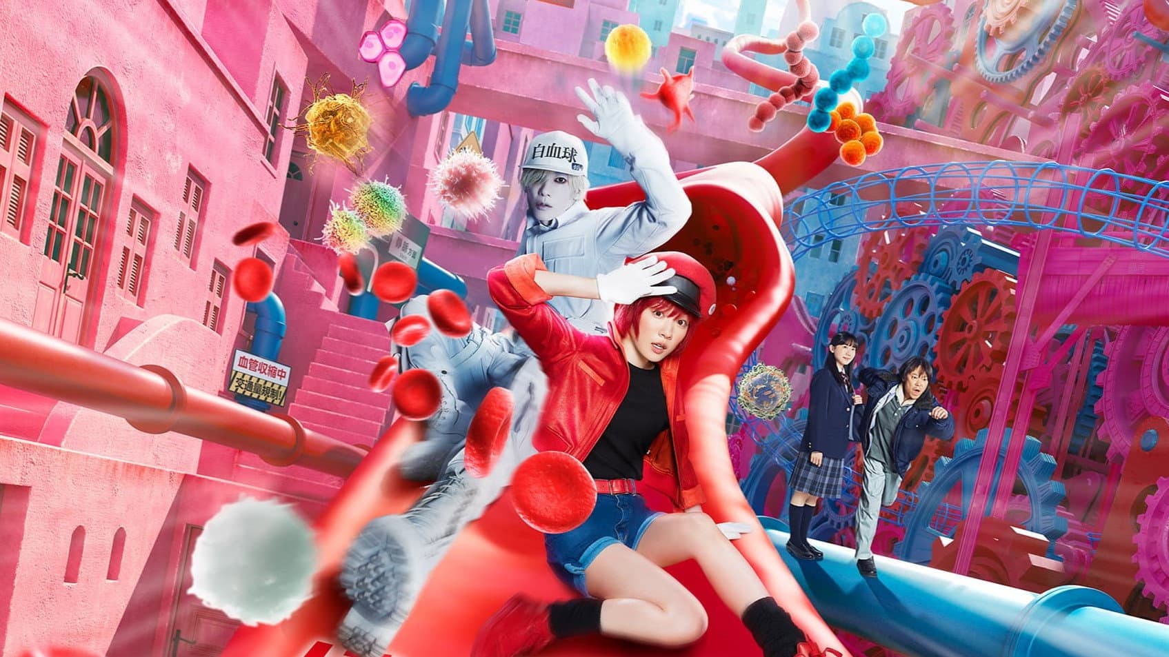 Cells at Work! - Lavori in corpo - immagine