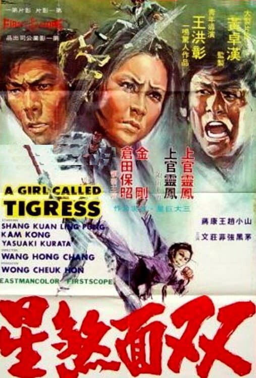 Poster di 雙面女煞星