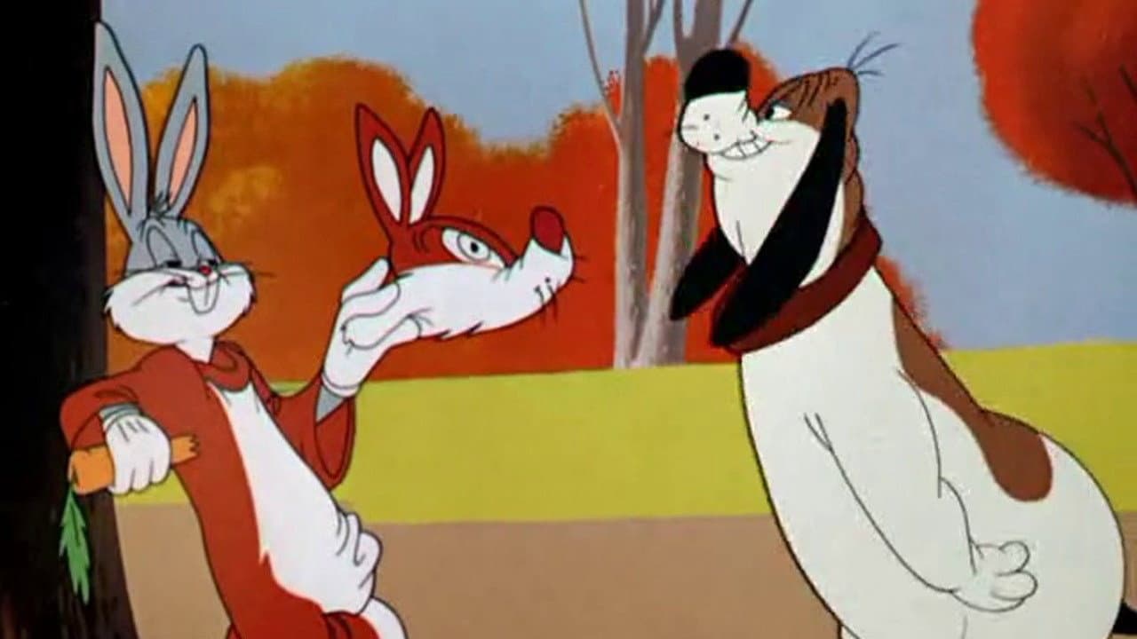 Bugs la volpe - immagine