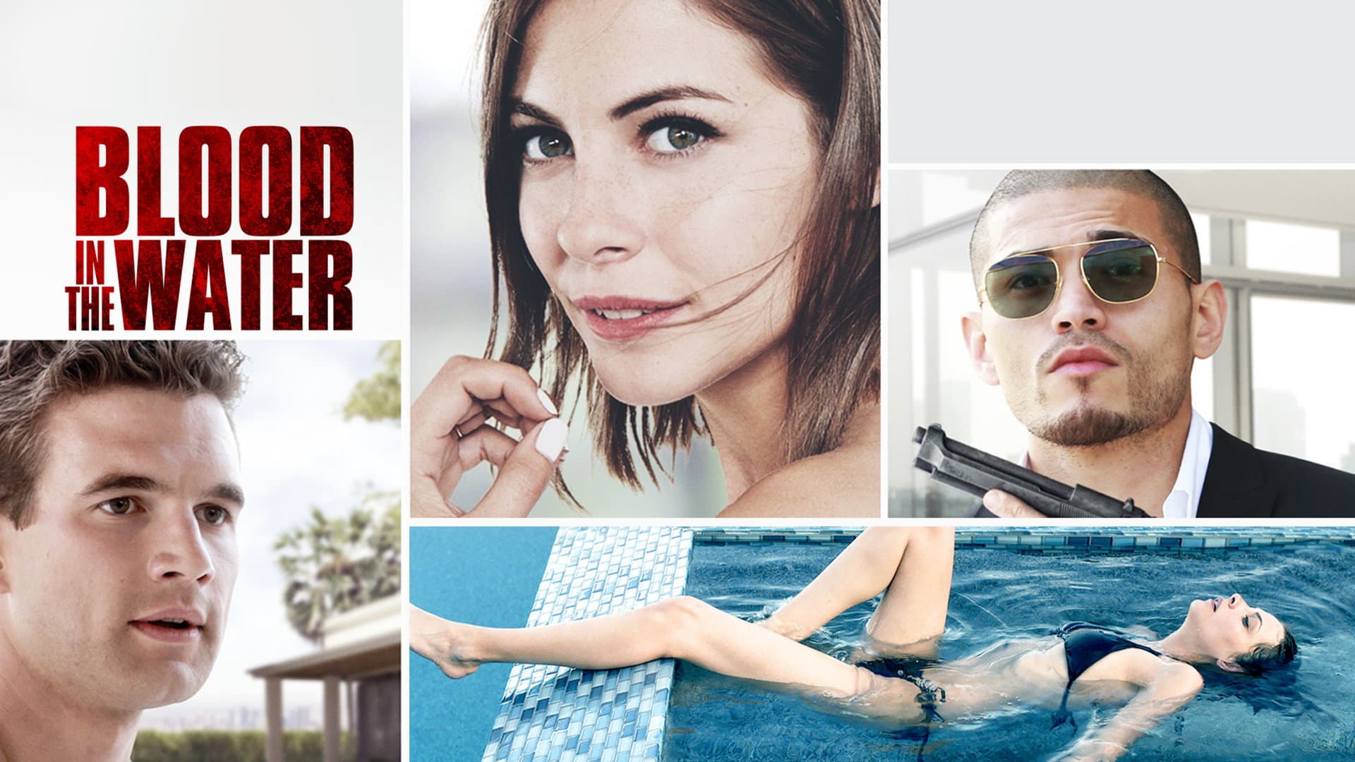 Blood in the Water - immagine
