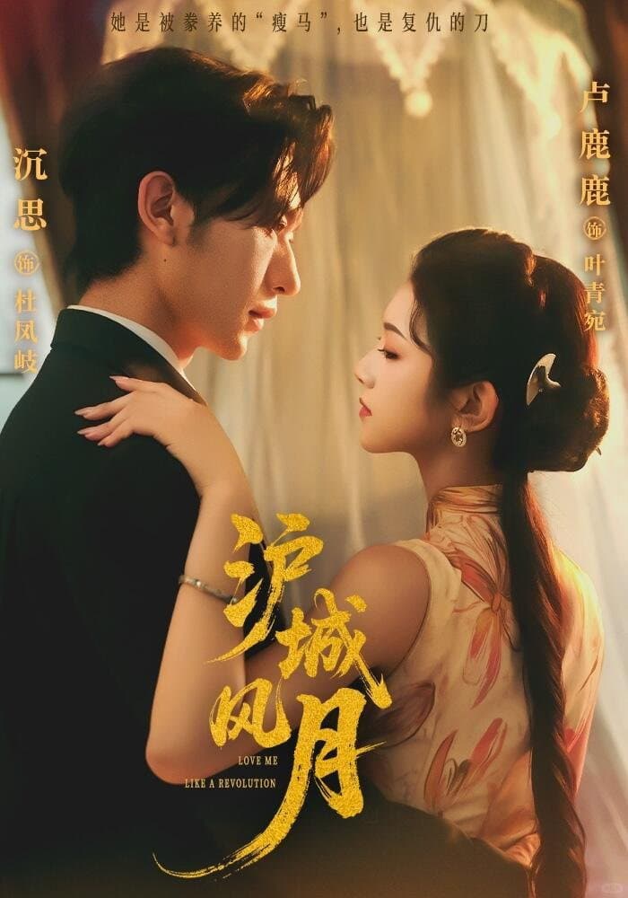 Poster di 沪城风月