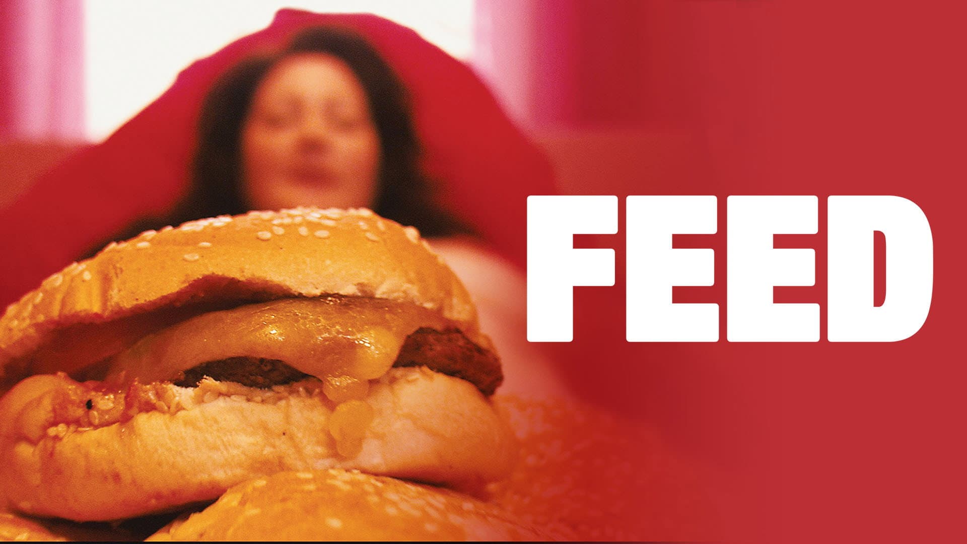Feed - immagine